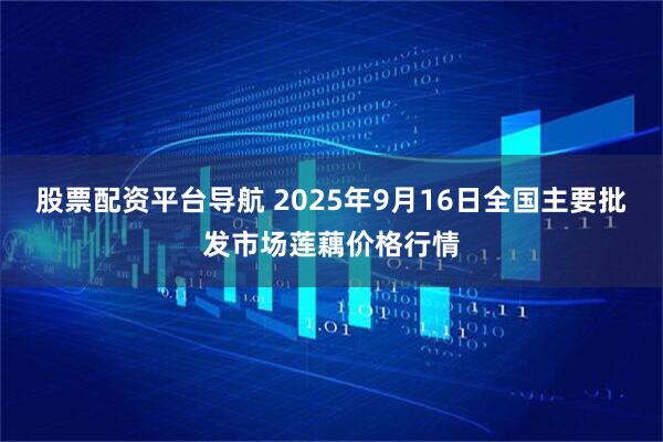 股票配资平台导航 2025年9月16日全国主要批发市场莲藕价格行情