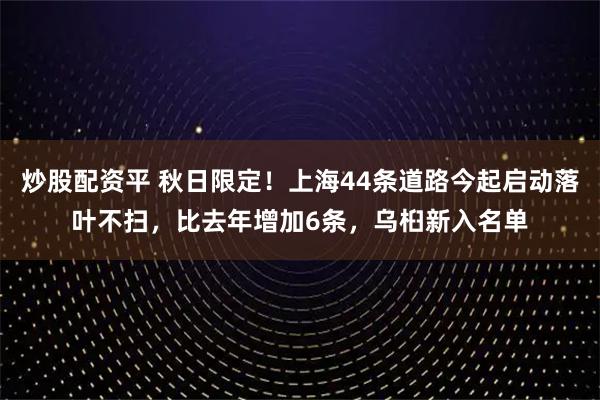 炒股配资平 秋日限定！上海44条道路今起启动落叶不扫，比去年增加6条，乌桕新入名单