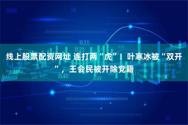 线上股票配资网址 连打两“虎”！叶寒冰被“双开”，王会民被开除党籍